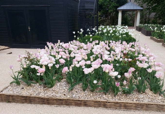 bordure de jardin